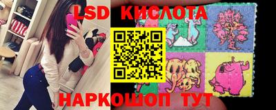 ешки Волгодонск