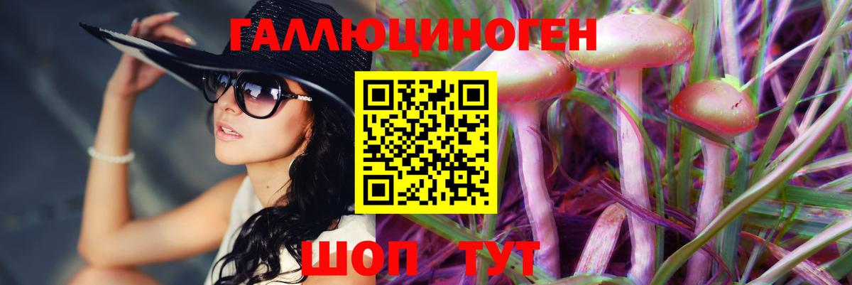 Псилоцибиновые грибы Psilocybe Богданович