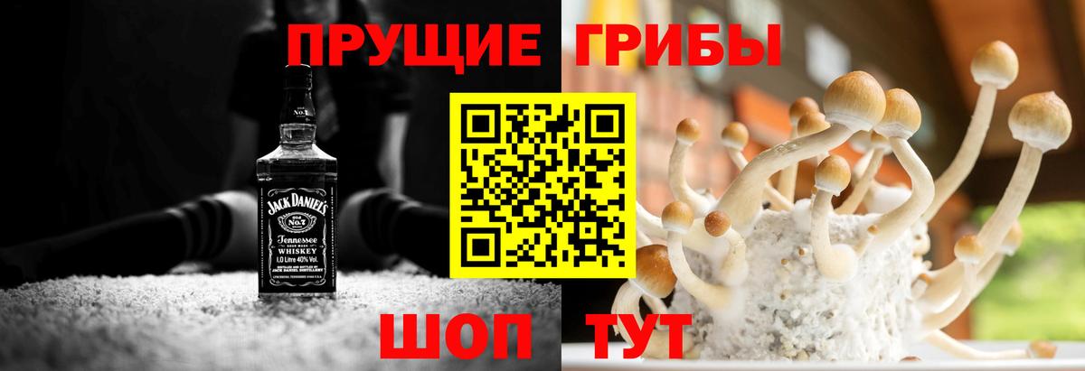 Богданович  Галлюциногенные грибы мицелий  Галлюциногенные грибы Psilocybine cubensis  Вход с VPN 